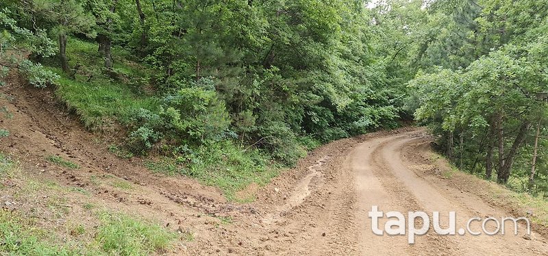 İnegöl Sarıpınar'da Köy Merkezine Yakın 3087m2 Yatırımlık Tarla