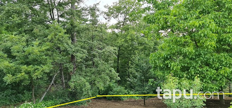 İnegöl Sarıpınar'da Köy Merkezine Yakın 3087m2 Yatırımlık Tarla