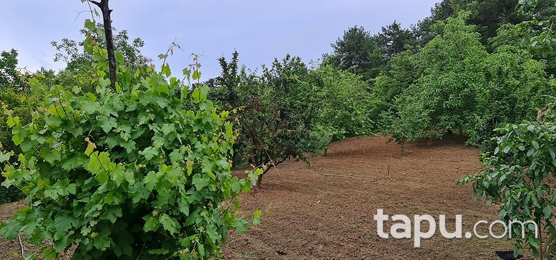 İnegöl Sarıpınar'da Köy Merkezine Yakın 3087m2 Yatırımlık Tarla