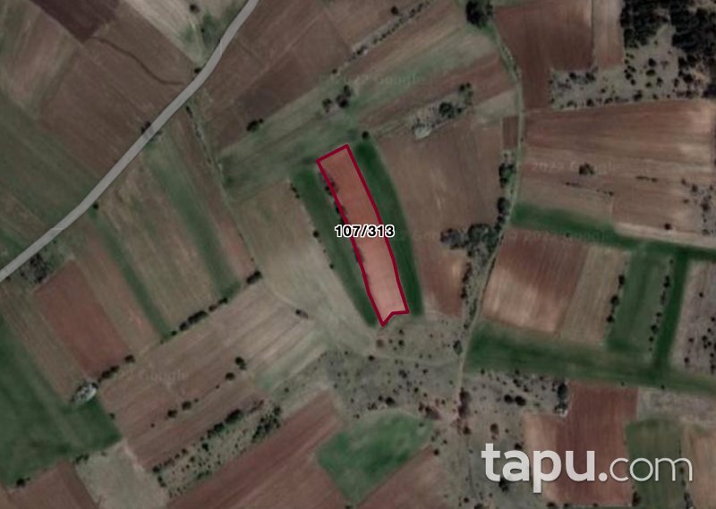 Bilecik Merkez Şükraniye Mahallesi'nde 3.887 m2 Tarla