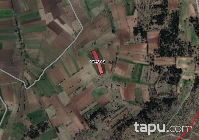 Bilecik Merkez Şükraniye Mahallesi'nde 3.887 m2 Tarla