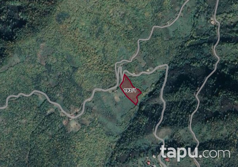 Artvin Borçka'da 6 Dönüm Fındık Bahçesi