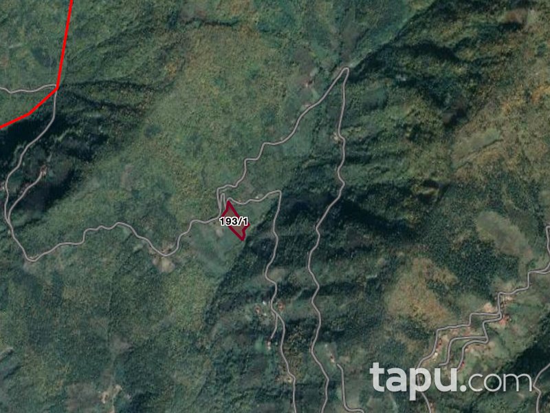 Artvin Borçka'da 6 Dönüm Fındık Bahçesi