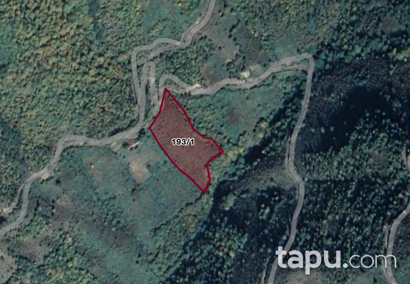 Artvin Borçka'da 6 Dönüm Fındık Bahçesi