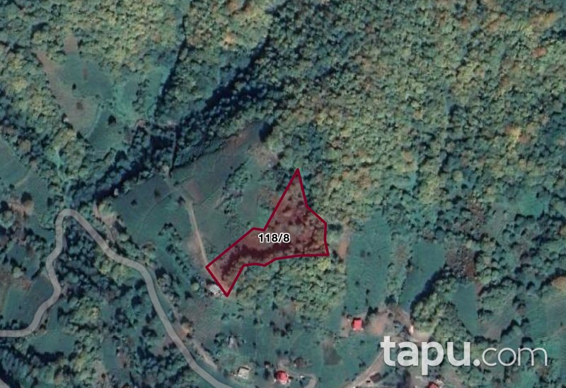 Artvin Borçka Şerefiye Mahallesi'nde Ahşap Ev Ve Çay Bahçesi