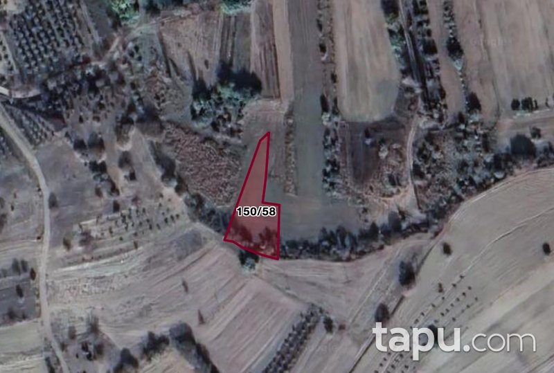 Bilecik Merkez Selbükü Köyü'nde Yatırımlık 1123 m2 Tarla