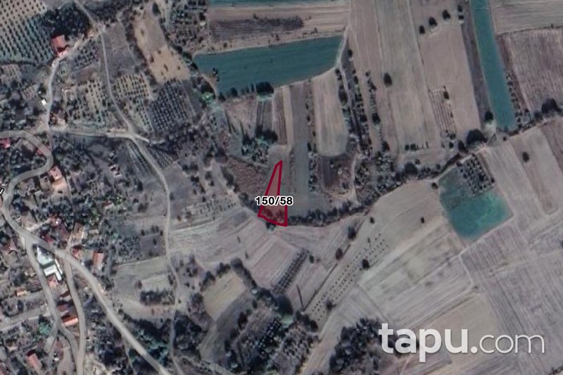 Bilecik Merkez Selbükü Köyü'nde Yatırımlık 1123 m2 Tarla