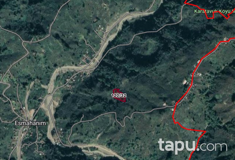 Düzce Akçakoca Esmahanım Köyü'nde 8 Dönüm Fındık Bahçesi
