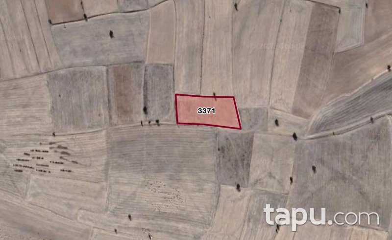 Afyon Dazkırı Kızılören Mahallesi'nde 5 Dönüm Tarla (1709)