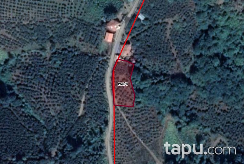Samsun Çarşamba Eğridere Mahallesi'nde 1381 m2 Fındık Bahçesi