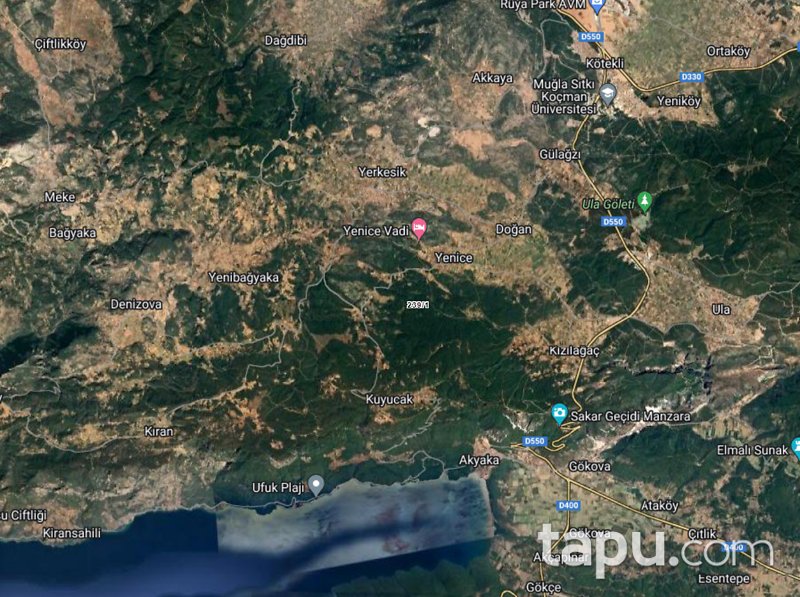 Menteşe Yenice'de 17 Dönüm Yolu Bulunan Yatırımlık Tarla