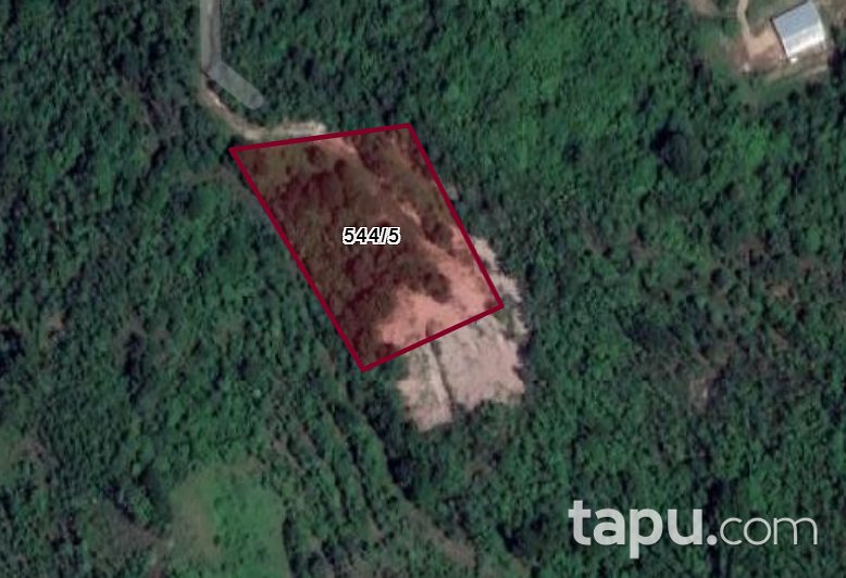 Gölcük Hisareyin Merkez'de 2.789 m2 Bağ
