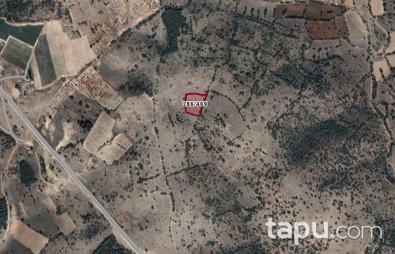 Denizli Çal'da 5.200 m2 Tarla