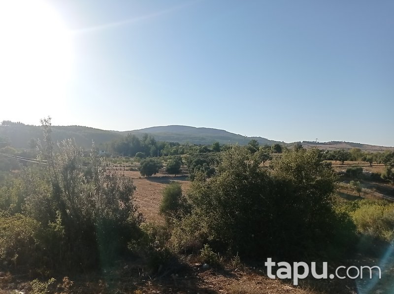 Karacahisar'da 6 Dönüm Tarla