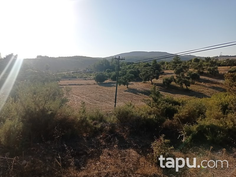 Karacahisar'da 6 Dönüm Tarla