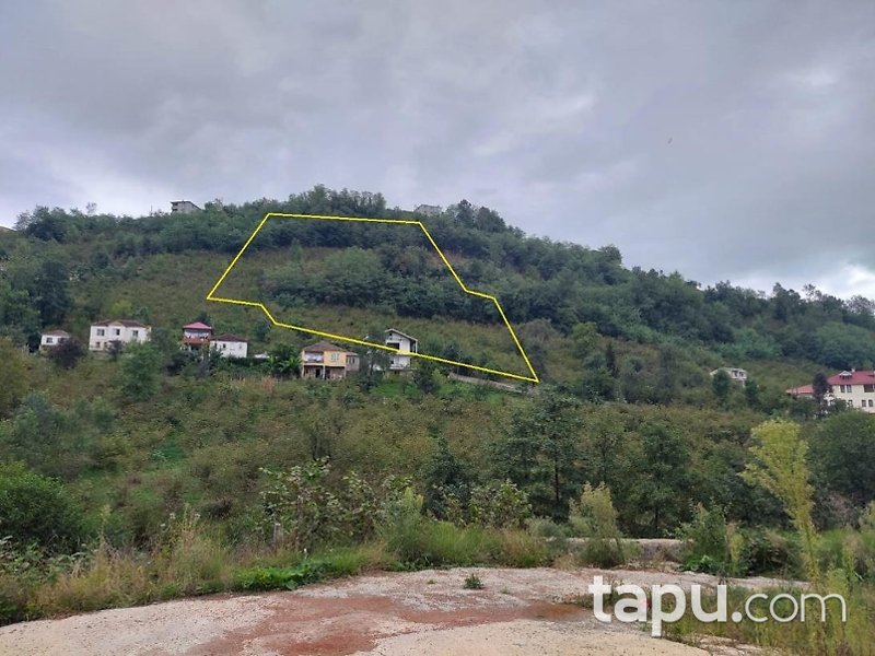 Trabzon Ortahisar'da Yatırımlık 4 Dönüm Fındık Bahçesi