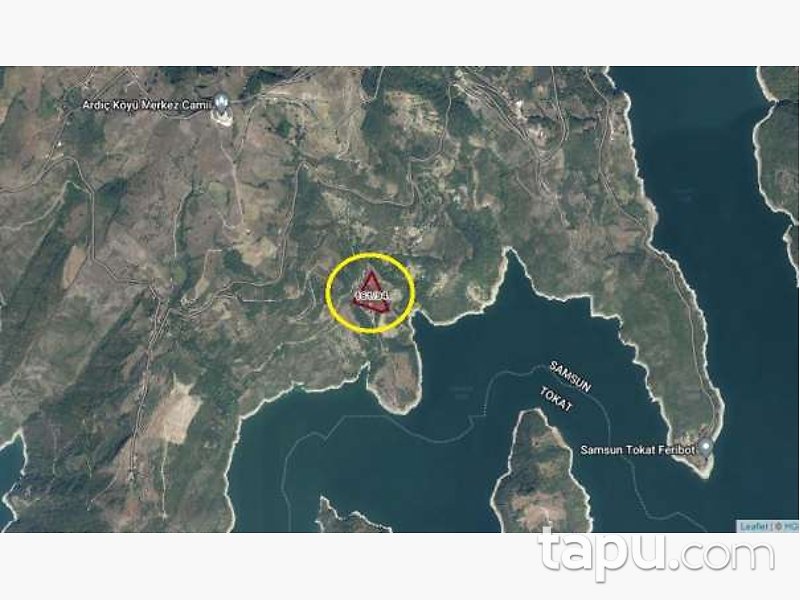Samsun Ayvacık Arduç Köyü'nde 12 Dönüm Fındık Bahçesi