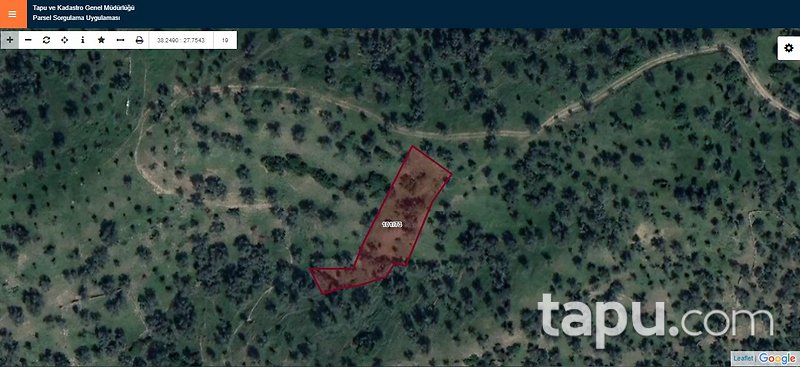 Bayındır Karahayıt'ta 1.059 m2 Zeytinlik