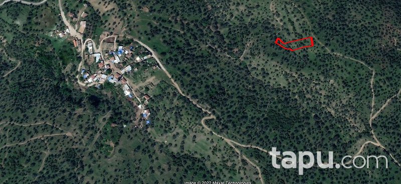 Bayındır Karahayıt'ta 1.059 m2 Zeytinlik