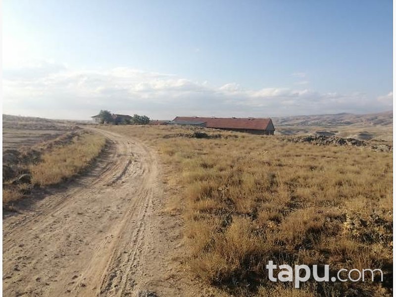 Nevşehir Gülşehir Çalışanlar Köy'ünde Kargir Bina ve Tarla