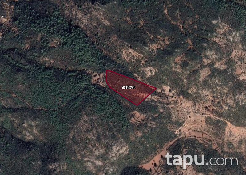 Alanya Saburlar da 30 dönüm GES'e Uygun Yatırımlık Tarla