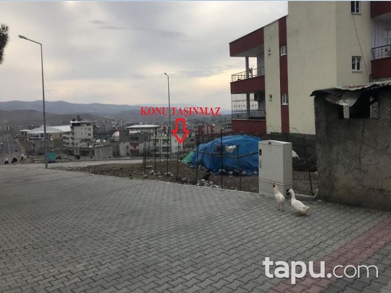 Siirt Merkez Doğan Mahallesi'nde 542 m2 İmarlı Arsa