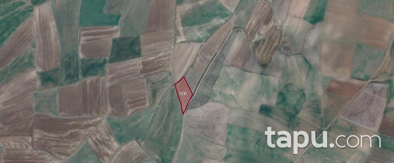 Sungurlu'da Yola Cephe 3.800 M2 Tarla