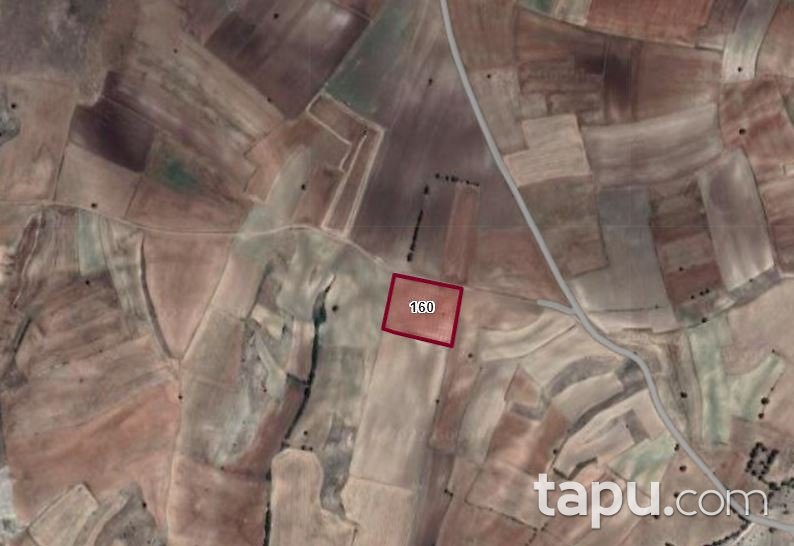 Kızılören Türkbelkavak'ta 9.150 M2 Tarla