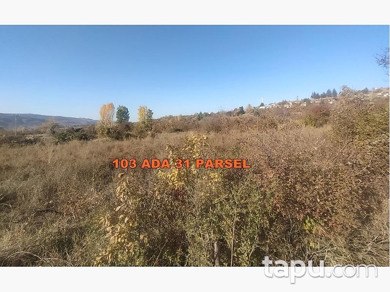 Çankırı Ilgaz Bükük Köyü'nde 8 Dönüm Hisseli Tarla