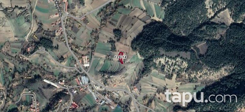 Bolu Göynük Alan Köyü 1.022 m2 Yatırımlık Tarla 