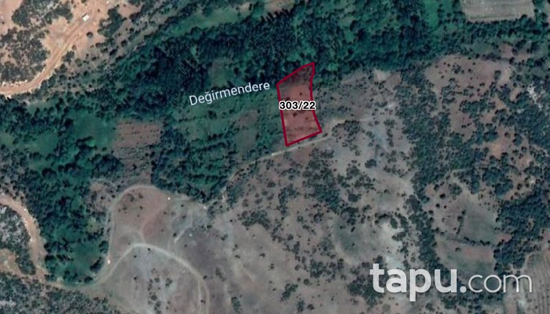 Burdur Çavdır Kozaağaç Köyünde 3.313 m2 Yatırımlık Tarla