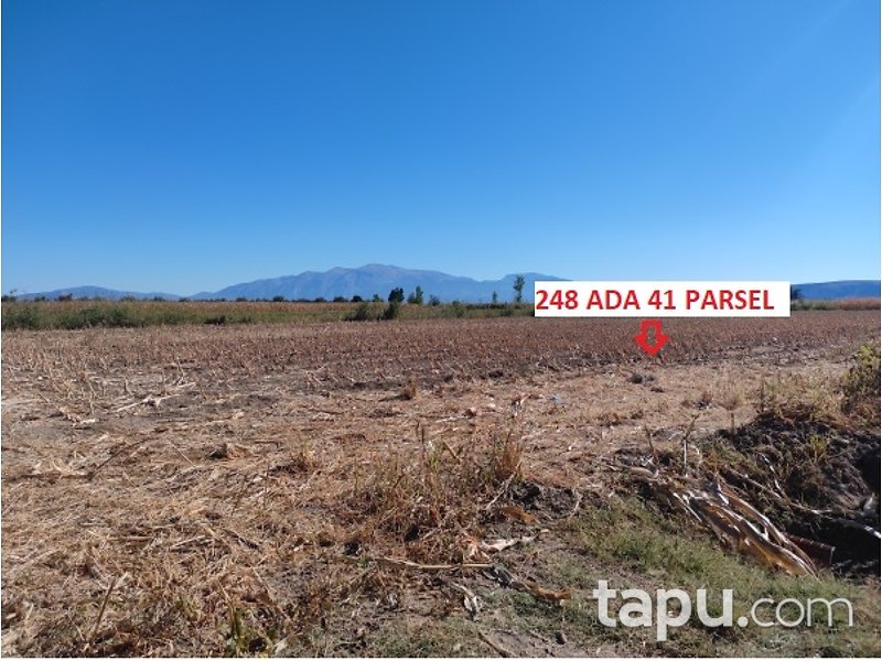 Denizli Çivril Karayahşiler'de 4.225 m2 Tarla