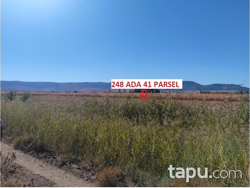 Denizli Çivril Karayahşiler'de 4.225 m2 Tarla
