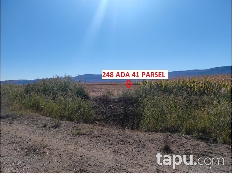 Denizli Çivril Karayahşiler'de 4.225 m2 Tarla
