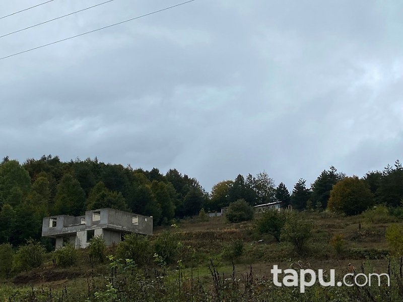 İznik Hacıosman Mahallesi'nde 10 Dönüm Tarla