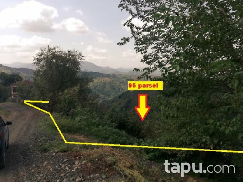 Çarşamba Ordubaşı Mahallesi'nde 4746 m2 Fındık Bahçesi