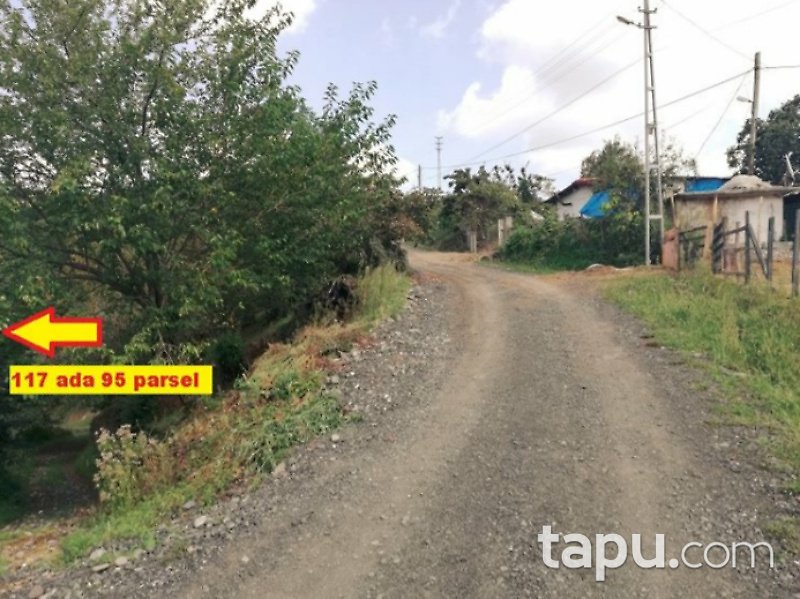Çarşamba Ordubaşı Mahallesi'nde 4746 m2 Fındık Bahçesi