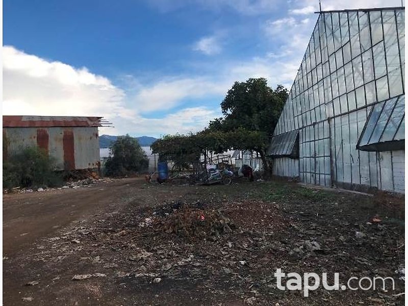 Kumluca Beykonak'ta Hisseli Tarla