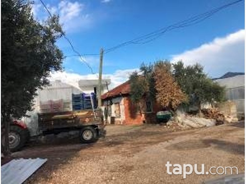 Kumluca Beykonak'ta Hisseli Tarla