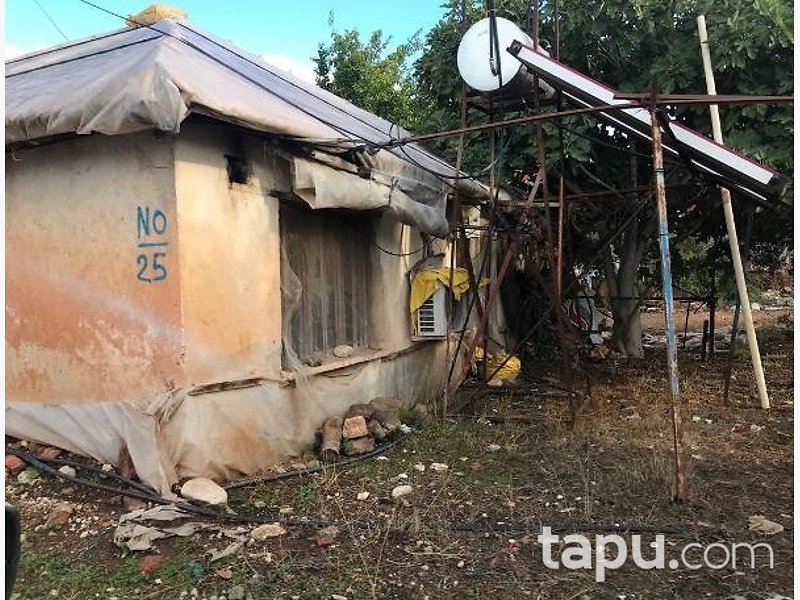 Kumluca Beykonak'ta Hisseli Tarla