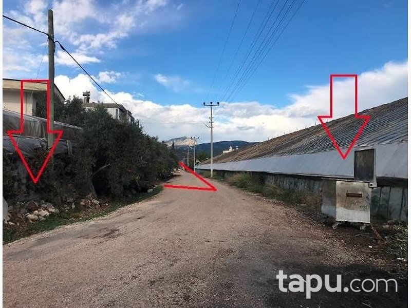 Kumluca Beykonak'ta Hisseli Tarla