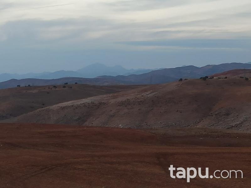 Siirt Merkez Kooperatif Mahallesi'nde 773 m2 İmarlı Arsa