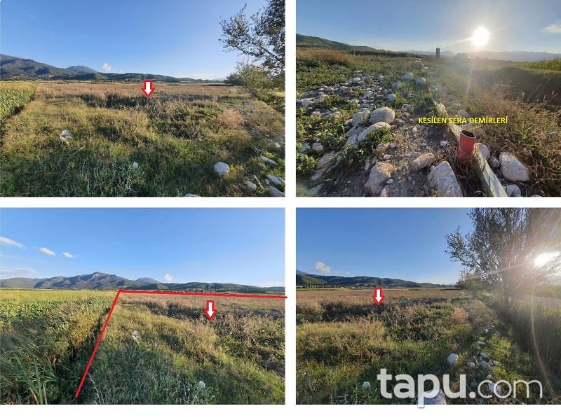 Burdur Gölhisar Karapınar Mahallesi'nde 12 Dönüm Yola Cepheli Tarla (1728)