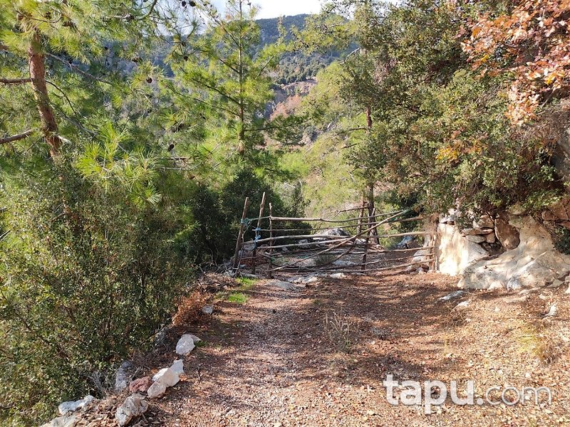 Antalya Konyaaltı Yarbaşçandır Köyü'nde Hisseli Tarla