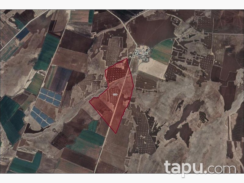 Şanlıurfa Siverek Bakmaç Köyü'nde 177 Dönüm Hisseli Tarla