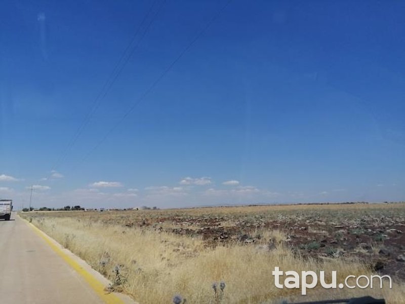 Şanlıurfa Siverek Bakmaç Köyü'nde 177 Dönüm Hisseli Tarla