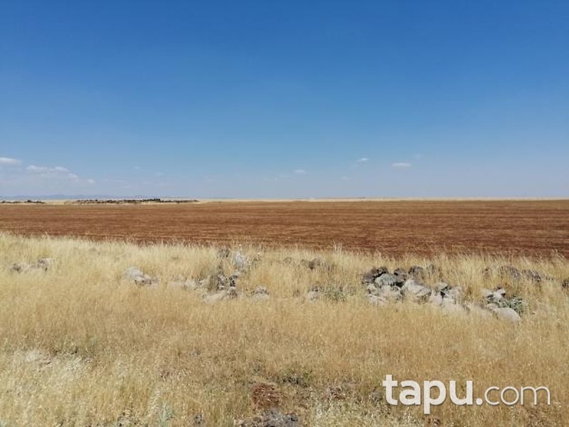Şanlıurfa Siverek Bakmaç Köyü'nde 177 Dönüm Hisseli Tarla