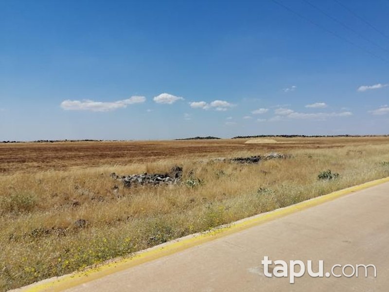 Şanlıurfa Siverek Bakmaç Köyü'nde 177 Dönüm Hisseli Tarla