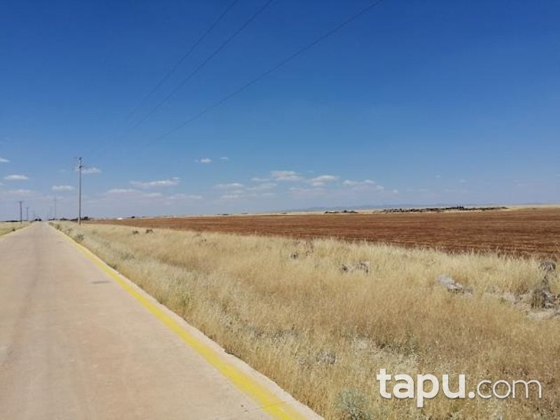 Şanlıurfa Siverek Bakmaç Köyü'nde 177 Dönüm Hisseli Tarla