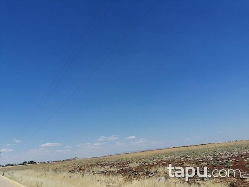 Şanlıurfa Siverek Bakmaç Köyü'nde 177 Dönüm Hisseli Tarla